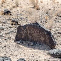 Petroglyph National Monument  - Petroglyph 