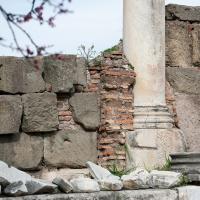 Column and Brick Wall - Exterior: View of a fragmentary column shaft built into a brick wall near the Basilica Aemilia