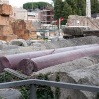Column Shafts - Exterior: View column shafts near the Basilica Aemilia