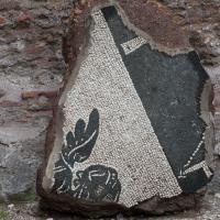 Baths of Caracalla - View of a fragment of a black and white mosaic with a winged figure