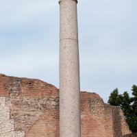 Column - View of a column with Corinthian Capital near the Basilica Aemilia