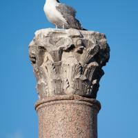 Column Capital - View of a column capital in the Roman Forum