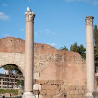 Column Shafts - View of column shafts in the Roman Forum