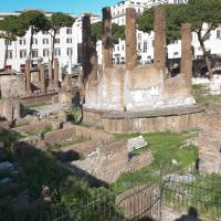 Largo Argentina - View of Temple B of the Largo di Torre Argentina group from the southwest corner