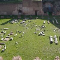 Palace of Domitian - View of column shafts in the so-called Stadium on the Palatine Hill