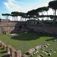 Palace of Domitian - View of the so-called Stadium on the Palatine Hill