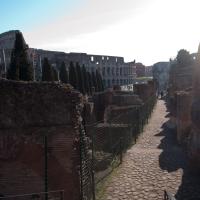 Colosseum - View of the Colosseum from the Palatine Hill