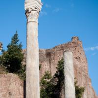 Temple of Romulus - View of the Corinthian Capitals in front of the Temple of Romulus