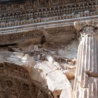Arch of Titus - Detail: View of a Victory in a Spandrel on the Arch of Titus