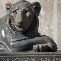 Lion of Nectanebo - Detail: View of a Lion of Nectanebo in the Cortile Della Pigna in the Vatican Museum 