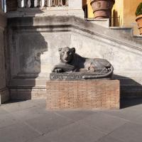 Lion of Nectanebo - Exterior: View of a Lion of Nectanebo in the Cortile Della Pigna in the Vatican Museum 