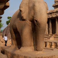 Elephant, Nakula-Sahadeva Ratha - Southwest view