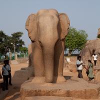Elephant, Nakula-Sahadeva Ratha - South view