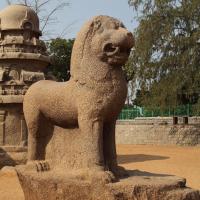 Lion, Draupadi Ratha - East view