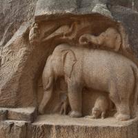 Elephant-Peacock-Monkey Relief - East view