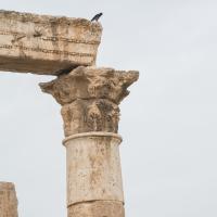 Temple of Hercules - Detail: Column Capital from Temple of Hercules