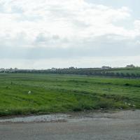 Madaba, Jordan - Field on the Road from Madaba to Mount Nebo