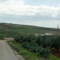 Madaba, Jordan - Landscape on the Road from Madaba to Mount Nebo