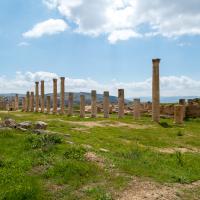 Temple of Artemis - View of Columns around Temple of Artemis Site, Facing Southeast