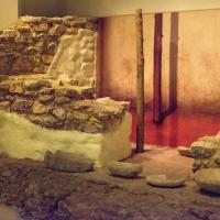 Jordan Museum - Installation View of Neolithic Gallery