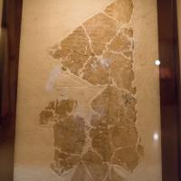 Jordan Museum - Interior: Installation of Stone Fragments