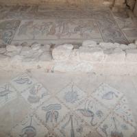 Hippolytus Hall - Interior: Mosaic Floor