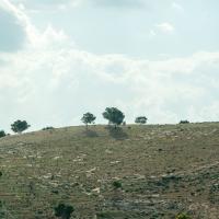 Mount Nebo, Jordan - Landscape on the Road from Madaba to Mount Nebo