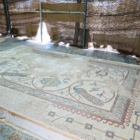 Mount Nebo, Jordan - Mosaics from the Floor of the Byzantine Church