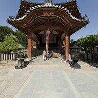 Kohfukuji - Exterior: Near the Nanendo (Southern Octagonal Hall)