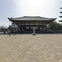 Kohfukuji - Exterior: Near the Gojunoto (Five Storied Pagoda)