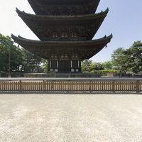 Kohfukuji - Exterior: Between the Gojunoto (Five Storied Pagoda) and Tokondo (Eastern Golden Hall)