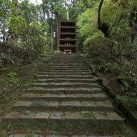 Muro-ji - Exterior: Stairs to Five-story Pagoda