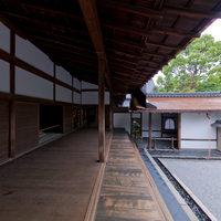 Ryoanji - Exterior: Garden