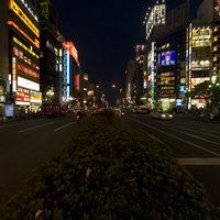 Shinjuku Ward - Yasukuni-Dori Avenue, Nighttime View