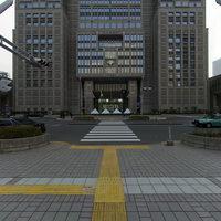 Tokyo Metropolitan Government Building Complex - Exterior: View of Tokyo Metropolitan Government Building No. 1 and Tokyo Metropolitan Assembly Building