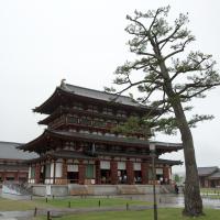 Yakushiji - Exterior: Main Hall, South Side