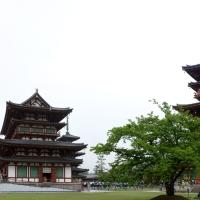 Yakushiji - Exterior: Temple Complex from the West