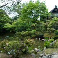 Yogenin - Exterior: Garden and Temple