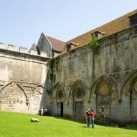 Cathédrale Notre-Dame de Noyon - Exterior, cloister looking northeast