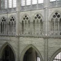 Cathédrale Notre-Dame de Amiens - Interior, south nave elevation from triforium level