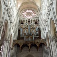 Cathédrale Notre-Dame de Amiens - Interior, nave organ loft