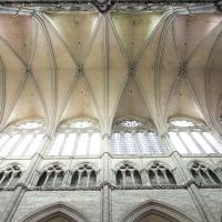 Cathédrale Notre-Dame de Amiens - Interior, nave vaults