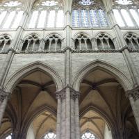 Cathédrale Notre-Dame de Amiens - Interior, nave elevation