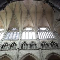 Cathédrale Notre-Dame de Amiens - Interior, north nave elevation and ribbed vault