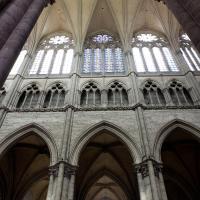 Cathédrale Notre-Dame de Amiens - Interior, south nave elevation