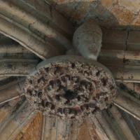 Église Saint-Nazaire de Carcassonne - Interior, chevet, main vessel, vaulting boss