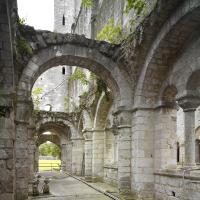Abbaye de Jumièges - Interior, ruins of north nave aisle tribune looking east