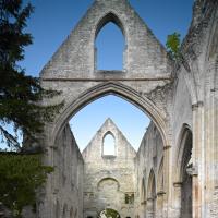 Abbaye de Jumièges - St. Pierre: Exterior, ruins of nave looking west