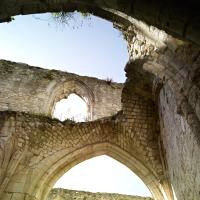 Abbaye de Jumièges - Interior, ruins of aisle vaulting
