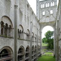 Abbaye de Jumièges - Interior, ruins of north nave elevation looking east